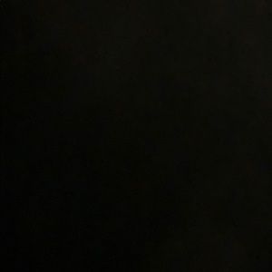 Meet your Posher, Jazz!